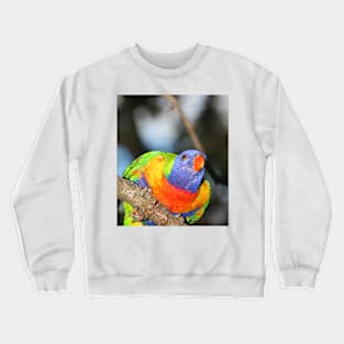 Ready For Take-off Crewneck Sweatshirt